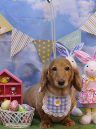 20240316レオンくん